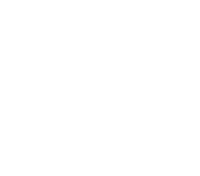 IBS Consulting